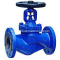 Globe Valve